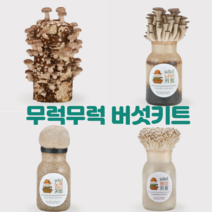 무럭무럭 버섯키우기 키트 표고 느타리 노루궁뎅이 팽이 재배 기르기 집에서 배지 세트 교육용, 표고+느타리+노루궁뎅이