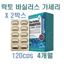 내추럴라이즈 모유 유산균 가루 캡슐 락토바실러스 가세리 17 프롤린 프로 프리 바이오틱스 신 포스트바이오틱스 생유산균 비만세균 뚱보균잡는 장내유익균 유해균, 500mg, 120캡슐