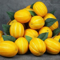 [성주참외]가정용못난이2kg/5kg/10kg 꼬마과/소과/중과 [성주직송] 당일수확한 싱싱하고 달콤한 참외만을 발송해드립니다!, 선택07-[중과]가정용못난이 5kg