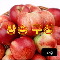[방송구성] 열매나무 신비 복숭아 1kg+1kg, 1개