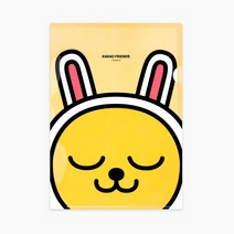 카카오프렌즈 L홀더 파일 화일 L자파일 클리어화일 A4파일 쫄대파일 도큐먼트파일 정부화일 파일케이스 L홀더 L자화일 엘자파일 악보화일 L파일 쫄대화일 엘홀더 L자홀더, 무지