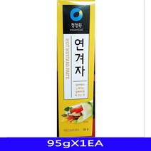 향신료 조제품 연겨자 음식재료 대상 95gX1EA겨자 겨자가루 겨자분 액상소스 업소용식자재 대용량식, 쿠팡 1