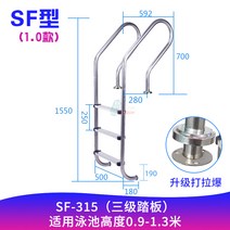 수영장 사다리 펜션 풀빌라 난간 수중 계단, D SF-3 1.0