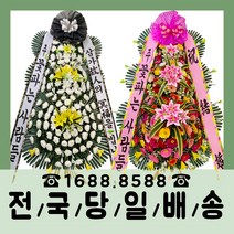 핫한 반려동물화환 인기 순위 TOP100