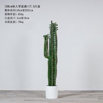 거실대형화분 키큰 사각 토분 베란다 인테리어 화분 2 북유럽 크리에이티브 화이트 직형 라지 사이즈 모던 심플 거실 실내 착지 그린 식재, 01 중, 17 108cm선인장+25cm원주분