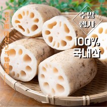 <컴팜>알뜰 연근 1kg+1kg 행사, 알뜰 연근 1kg+1kg” class=”wr-img”></a></div>
</p></div>
</p></div>
</p></div>
<div class=