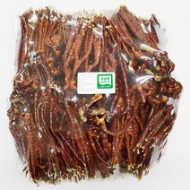 [문상영 버섯] 무농약 녹각영지버섯 실속형 1kg