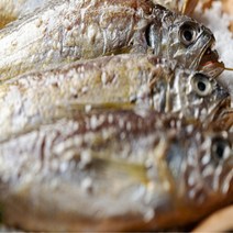 국산 제수용 생선 참조기 (22~23cm) 병어 민어 참돔 양태 제사생선 / 반건조 국산조기, 참조기 5마리