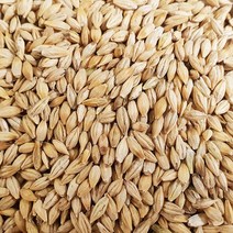 [22년산/국산] 새싹보리씨앗 2kg 국산 겉보리 (엿기름 가능), 22년산 새싹보리씨앗(겉보리) 2kg, 1개