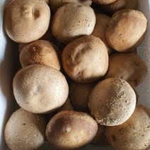 유기농 생표고버섯 1Kg 산지직송 참나무 건표고 채수 육수 무농약 선물세트, 표고 4Kg 하