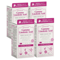 뉴트리랩스 감마리놀렌산 600mg 60캡슐 x 4박스 미국산 피부과민 면역과민개선 혈행개선 월경증후군 생리영양제, 4통, 60캡슐X4개