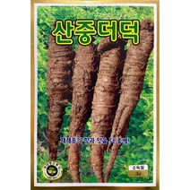 산중더덕 더덕씨앗 3g, 1개