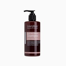 [프리미엄]로하스보 오지허브 덴드러브 샴푸 300ml
