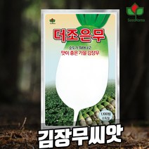 김장무씨앗 무우씨 무씨앗 가을무씨앗 더조은 김장무종자 1100립(2023년포장), 1개