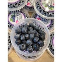 청년푸르츠 새콤달콤 블루베리, 1kg(한박스10통), 10개