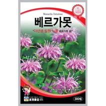 세계 베르가못 벨가못 모나르다 bergamot seed 씨앗 씨 꽃씨 종자, 꽃담배