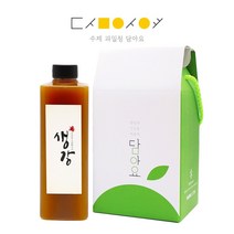 담아요 수제과일청 선물세트(포장무료) 각종답례품 부모님선물 추석명절선물, 1세트, (1구포장)생강청(플라스틱병) 650g