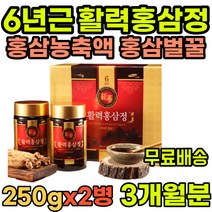 온가족 활력 홍삼정 온가족 대동고려삼 홍삼꿀