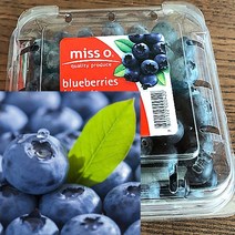 칠레 생 블루베리 생과 미국산 국산 생 블루베리 125g, 6팩