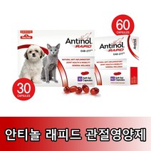 바이오라인 안티놀 래피드 천연 관절영양제 30캡슐/60캡슐/90캡슐, 60캡슐
