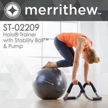 merrithew Halo Trainer 헤일로트레이너 펑셔널트레이닝 ST-02209 ST-02137 Stott Pilates, 짐볼포함/ST-02209