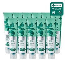 덴티스테 뉴 플러스화이트 튜브형 치약, 11개, 160g