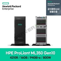 HP 타워 서버 ML350G10 CTO (4210R 16G 8SFF P408i-a 2G 800W 3년) 877626-B21 정품