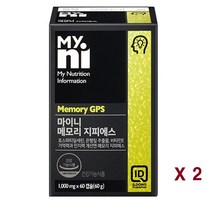 메모리지피에스 기억력영양제 포스파티딜세린 콜린 징코 은행잎추출물 플라보놀배당체 두뇌 인지력개선 혈액순환 뇌건강 노인 수험생, 2박스, 60캡슐
