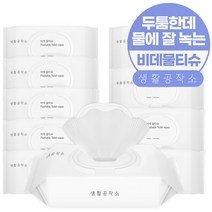 생활공작소 비데 물티슈, 60매, 10개