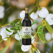 국내산 100% 겨우살이 발효액 750ml, 3병
