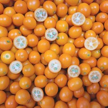 제주명품 금귤(낑깡) 2kg