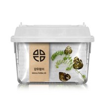 초등교과 수서곤충 소금쟁이 연못, 단품