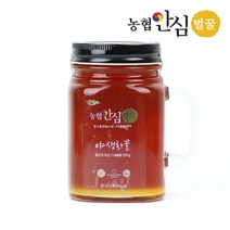 브랜드없음 [농협안심벌꿀] 야생화 꿀 500g x 1병, 1개, 단품없음