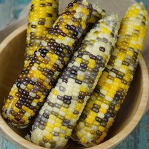 무한푸드몰 쫄깃한 찰옥수수 냉동삶은옥수수 알록이 20개 무첨가, 알록이 찰옥수수 20개
