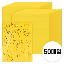 그린스하비 날파리 끈끈이 스티커형, 50매입