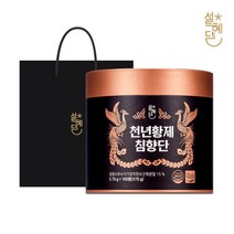 고려홍삼중앙회 설혜담 천년황제 침향단 100환 + 쇼핑백, 375g, 1세트