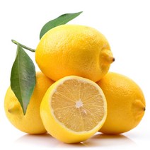 [레몬소과] 원시인농산 팬시 레몬 15kg내외 대용량 (145과 전후 중소과)