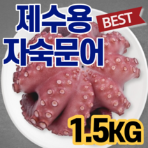 제수용 자숙 문어 한마리 제사상 제삿상 차례상 차레 조상 1KG 1.5KG 2KG 재수용 문어탕 돌문어 카르파쵸 문어볶음 숙회 쫄깃 담백 삶은 데친 대친 문어 요리 재사 모임