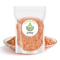렌틸콩 렌즈콩 렌탈콩 레드 1kg, 없음, 1개