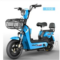 전기자전거 복잡한도심 통근수단 전동로드 48V 20Ah, 블루48V 20Ah