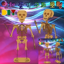 DIY 인체 골격 구조 모형 과학실험 과학수업교구, 단품