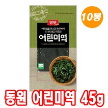 동원 어린미역 45g 10봉, 10개