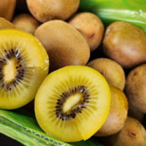 당도선별 프리미엄 국내산 고성 골드키위 1~5kg, 국내산골드키위 1kg(8-10과)