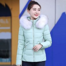 후드 숏 패딩 점퍼 자켓 여성 카라 코트 슬림