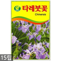 강낭콩 2g - 콩 씨 씨앗 강낭콩씨앗 강남콩씨앗 강낭콩씨, 20_청농_타레붓꽃(15립)