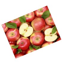 MJS 보석십자수 캔버스형 50 x 40 cm DIY 세트 BSX40, 부귀사과