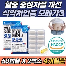 혈중 중성지질 혈행 개선 식약처 인증 최신 알티지 RTG오메가3 추천 LDL 콜레스테롤 중성지방 혈액순환 눈 건조 뼈 건강 영양제 추천 안구건조 징코빌로바 10대 20대 30대