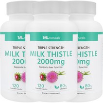 [미국번개배송] 착한명품 마이라이프 내추럴스 고함량 밀크시슬 2000mg 120정 3병
