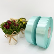 포장 리본 끈 제이제이리본 고밀도주자 45M 2롤 76칼라 (3mm 5mm), 3mm, 박하색