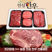 농협 안심 프리미엄 한우 1++ 투뿔 선물세트 추석 명절 한우세트, 1개, 2호-농협 안심 한우1++ 프리미엄 세트